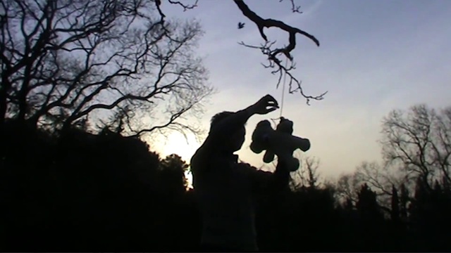 Video Reference: Sky, Atmosphere, World, Tree, People in nature, Branch, Cloud, Flash photography, Gesture, Natural landscape