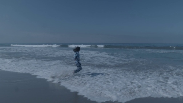 Video Reference: Water, Sky, Cloud, Fluid, Coastal and oceanic landforms, Beach, Wind wave, Wind, Recreation, Horizon