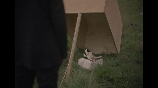 Video Reference: Wood, Flash photography, Plant, Grass, Fawn, Tints and shades, Human leg, Art, Flooring, Box