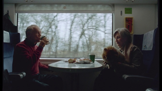 Video Reference: Table, Comfort, Leisure, Fun, Wood, Event, Tree, Recreation, Sitting, Conversation