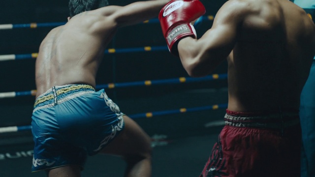 Video Reference: Shorts, Glove, Muscle, Sports gear, Combat sport, Striking combat sports, Sports equipment, Boxing equipment, Contact sport, Strike
