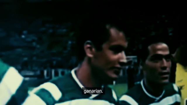 Video Reference: Sports uniform, Jersey, Sports jersey, Player, Sports equipment, Sportswear, T-shirt, Ball game, Sports, Team sport