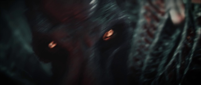 Video Reference: Eyelash, Whiskers, Automotive lighting, Flash photography, Wood, Tree, Sky, Snout, Electric blue, Darkness