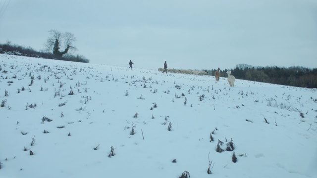 Video Reference: Sky, Snow, Slope, Tree, Natural landscape, Glacial landform, Freezing, Plant, Landscape, Ice cap
