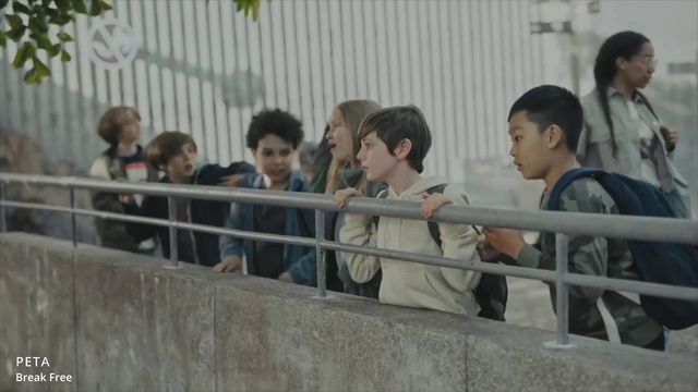 Video Reference: T-shirt, Event, Leisure, Crowd, Fence, Recreation, Audience, Handrail, Tourism, Fun