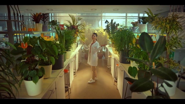 Video Reference: Plant, Flowerpot, Houseplant, Event, Shorts, Leisure, Formal wear, Fashion design, Floristry, Floral design