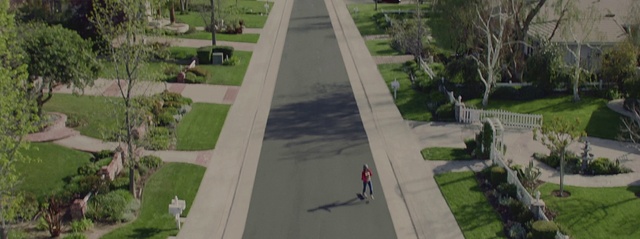 Video Reference: Plant, Infrastructure, Road surface, Urban design, Land lot, Thoroughfare, Grass, Tree, Sidewalk, Line