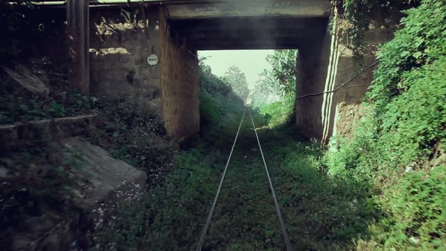 Video Reference: railway, train tracks, bridge, tunnel, overgrown, greenery, vegetation, outdoor, landscape, rural, cutting, concrete, sunlight, pathway, transport