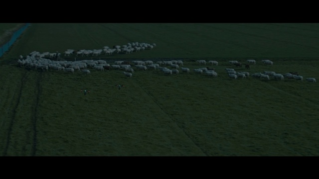 Video Reference: Handwriting, Asphalt, Grey, Grass, Road surface, Font, Rectangle, Slope, Flooring, Landscape