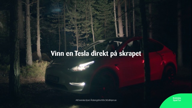 Video Reference: Tire, Wheel, Vehicle, Plant, Car, Automotive lighting, Hood, Automotive tire, Motor vehicle, Automotive design