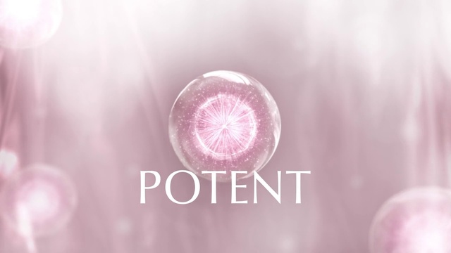 Video Reference: Petal, Plant, Purple, Pink, Violet, Magenta, Font, Water, Circle, Flowering plant