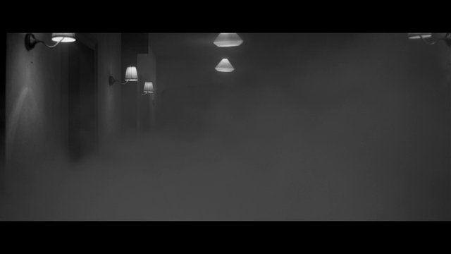 Video Reference: hallway, corridor, interior, black and white, lighting, fog, haze, empty, dim, minimal, architecture, indoor