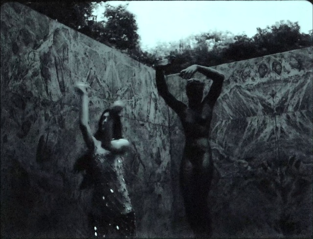 Video Reference: Sky, Tree, Organism, Flash photography, Black-and-white, Style, Plant, Sculpture, Woody plant, Art