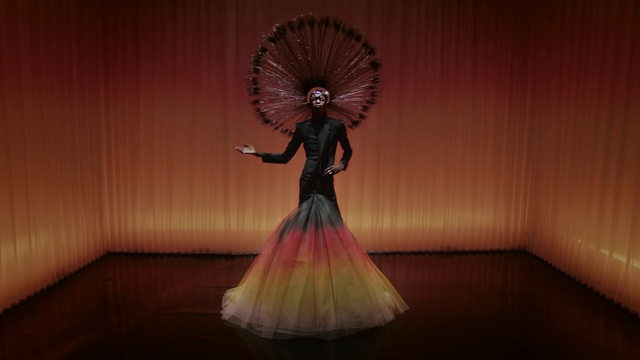 Video Reference: Hair, Human body, Textile, Flash photography, Entertainment, Performing arts, Fashion design, Art, Dance, Formal wear