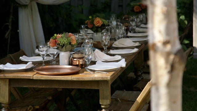 Video Reference: Table, Tableware, Furniture, Dishware, Drinkware, Stemware, Plant, Tablecloth, Plate, Serveware