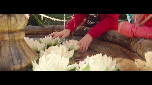 Video Reference: Flower, Hand, Plant, Petal, Happy, Grass, Flower Arranging, Wood, Hat, Artificial flower