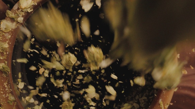 Video Reference: Plant, Sky, Petal, Twig, Wood, Tints and shades, Grass, Tree, Soil, Macro photography