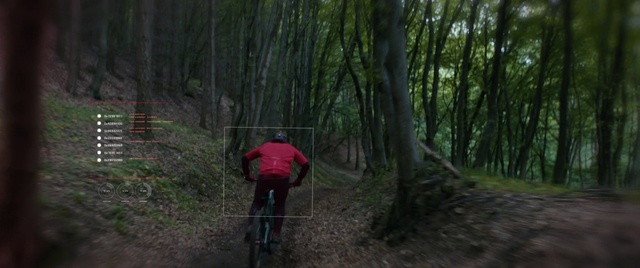 Video Reference: Bicycle, Plant, Bicycles--Equipment and supplies, Bicycle wheel, Bicycle frame, Tree, Sports equipment, Terrestrial plant, Natural landscape, Biome