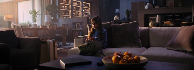 Video Reference: Furniture, Tableware, Light, Comfort, Plant, Picture frame, Food, Couch, Interior design, Living room