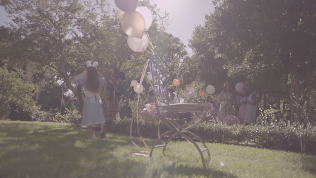 Video Reference: Plant, Street light, Branch, Tree, Sky, Sunlight, Grass, Tints and shades, Art, Lawn