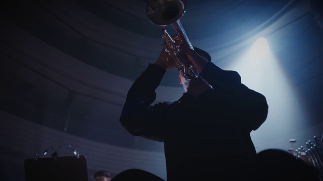 Video Reference: Microphone, Musician, Musical instrument, Music artist, Music, Performing arts, Brass instrument, Entertainment, Concert, Audio equipment