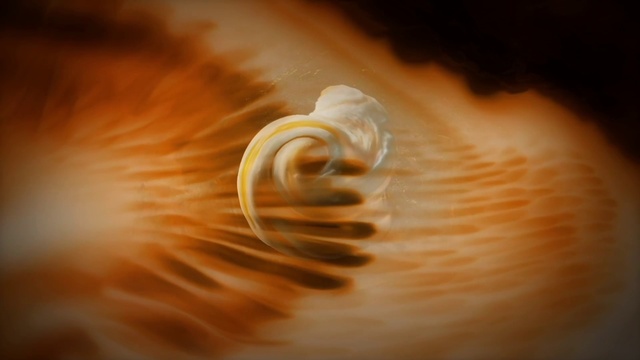 Video Reference: Liquid, Wood, Gas, Heat, Landscape, Spiral, Peach, Astronomical object, Circle, Macro photography