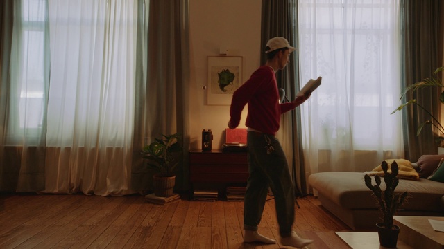 Video Reference: Plant, Property, Houseplant, Curtain, Wood, Floor, Flooring, Hardwood, Hat, Comfort