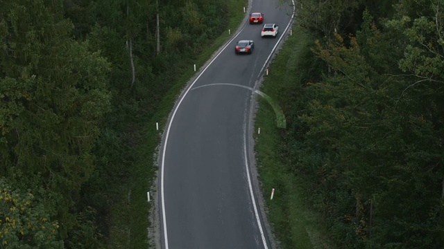 Video Reference: Vehicle, Car, Road surface, Asphalt, Tree, Plant, Motor vehicle, Grass, Thoroughfare, Automotive lighting