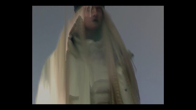 Video Reference: Sleeve, Wedding dress, Dress, Gesture, Art, Fashion design, Formal wear, Bridal accessory, Darkness, Event