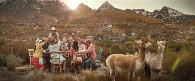 Video Reference: Mountain, Alpaca, Ecoregion, Llama, Plant, Sky, Landscape, Grassland, Rural area, Mountainous landforms
