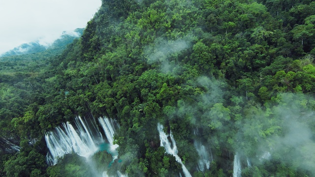 Video Reference: Water, Natural landscape, Plant, Waterfall, Watercourse, Fluvial landforms of streams, Terrestrial plant, Landscape, Tree, Forest