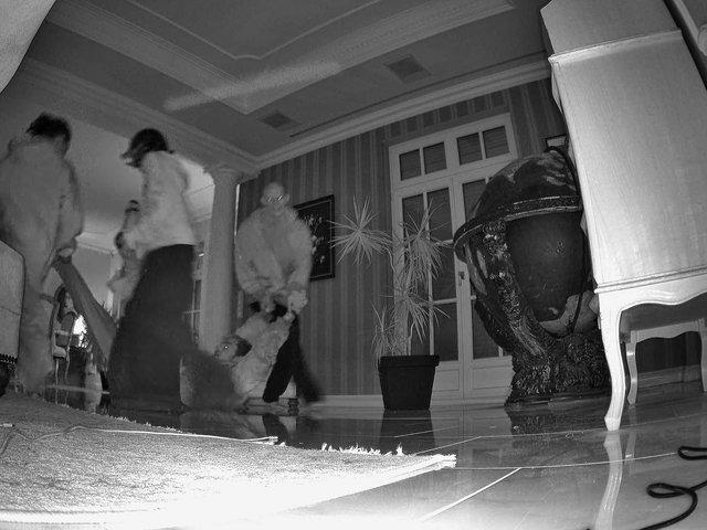 Video Reference: indoor, living room, security camera, black and white, people, interior, home, tile floor, furniture, plant, night vision, motion blur, wide angle, residential, decor, surveillance