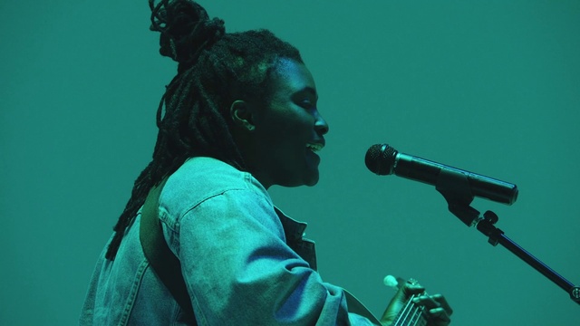 Video Reference: Microphone, Public address system, Musician, Performing arts, Music, Concert, Audio equipment, Entertainment, Music artist, Microphone stand