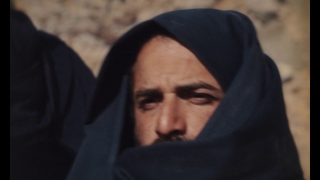 Video Reference: Forehead, Landscape, Tints and shades, Wrinkle, Portrait photography, Moustache