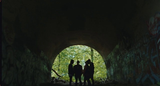 Video Reference: Plant, Tunnel, Terrestrial plant, People in nature, Tree, Tints and shades, Formation, Landscape, Wood, Darkness