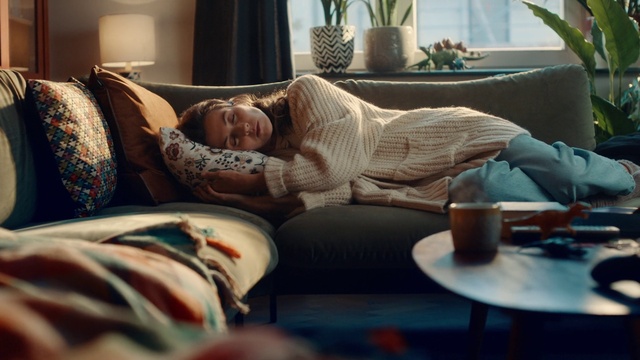 Video Reference: Plant, Furniture, Couch, Table, Light, Comfort, Blue, Green, Houseplant, Flowerpot