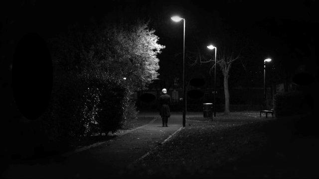 Video Reference: night, park, streetlight, path, silhouette, lone person, trees, bench, black and white, dark, outdoors, walking path, moody, quiet, urban park