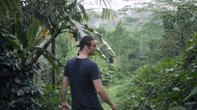 Video Reference: Plant, Plant community, Terrestrial plant, Sky, Tree, Arecales, Grass, Forest, Shrub, Travel