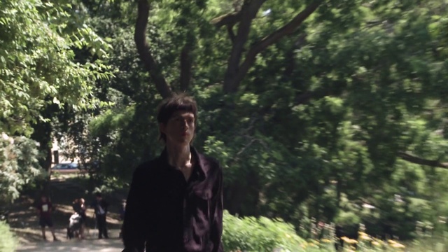 Video Reference: Plant, Tree, People in nature, Wood, Trunk, Grass, Leisure, Tints and shades, Eyewear, Forest