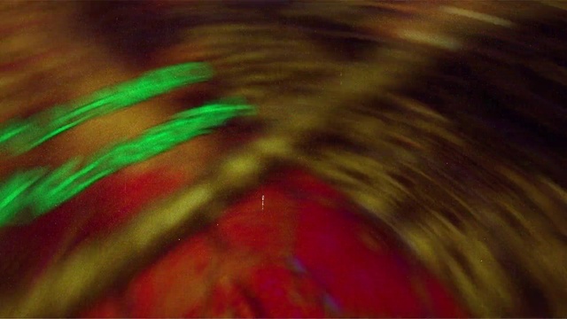 Video Reference: Plant, Eye, Water, Eyelash, Wood, Terrestrial plant, Tree, Feather, Tints and shades, Art