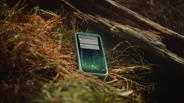 Video Reference: Plant, Communication Device, Wood, Gadget, Grass, Portable communications device, Mobile phone, Tree, Mobile device, Grass family