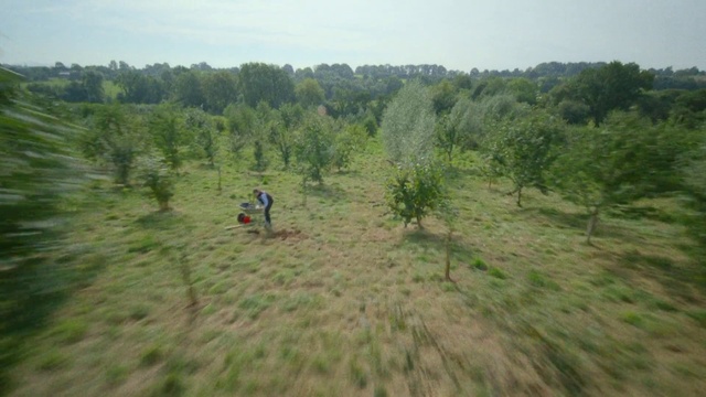 Video Reference: Plant, Sky, Tree, Natural landscape, Slope, Landscape, Grassland, Shrub, Recreation, Grass