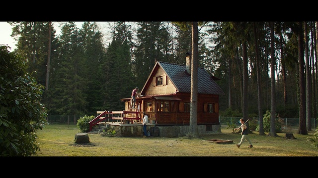 Video Reference: Plant, Building, Window, House, Tree, Cottage, Wood, Sky, Grass, Tints and shades