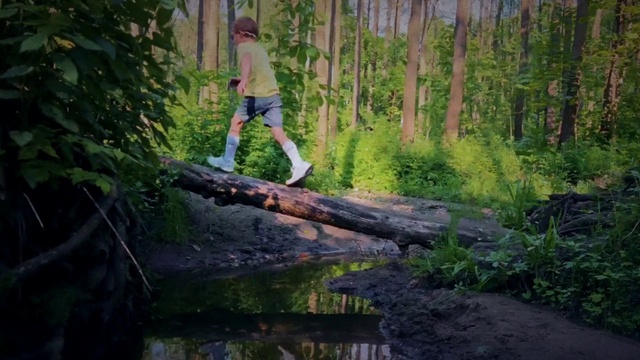 Video Reference: Plant, Plant community, Wood, Branch, Trunk, Natural landscape, Grass, Woody plant, Riparian zone, Tree