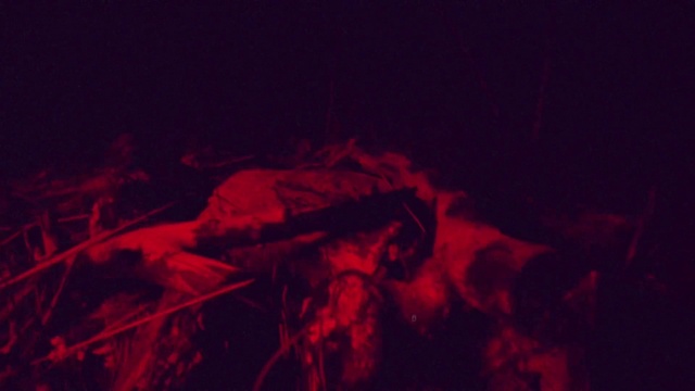 Video Reference: Entertainment, Art, Magenta, Event, Grass, Electric blue, Heat, Musician, Carmine, Darkness