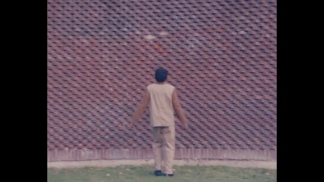 Video Reference: Rectangle, World, Sleeve, Standing, Art, Grass, Composite material, Tints and shades, Street fashion, Symmetry