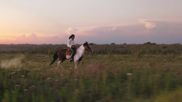 Video Reference: Cloud, Horse, Sky, Plant, Working animal, Natural landscape, Grass, Grassland, Landscape, Equestrianism