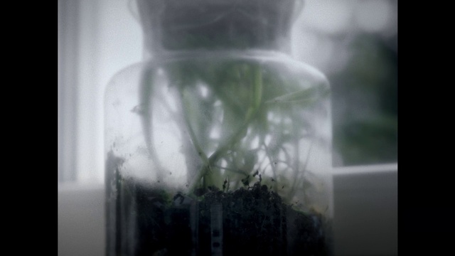 Video Reference: Liquid, Fluid, Atmospheric phenomenon, Tints and shades, Fixture, Glass, Rectangle, Transparent material, Monochrome photography, Darkness