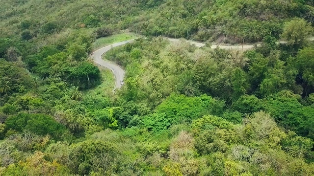 Video Reference: Plant, Ecoregion, Natural landscape, Terrestrial plant, Landscape, Groundcover, Geological phenomenon, Grass family, Grassland, Tree