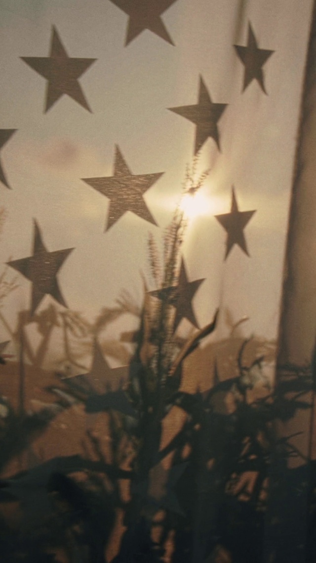 Video Reference: Leaf, Black, Sky, Twig, Astronomical object, Tints and shades, Star, Ornament, Darkness, Event